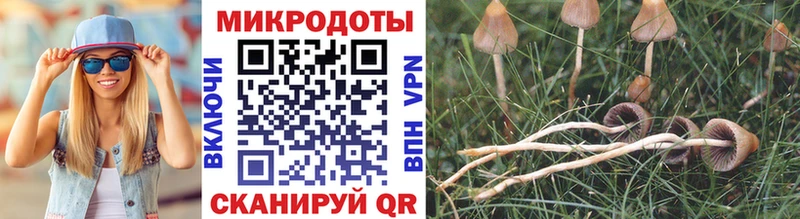 наркотики Новоуральск Галлюциногенные грибы мицелий