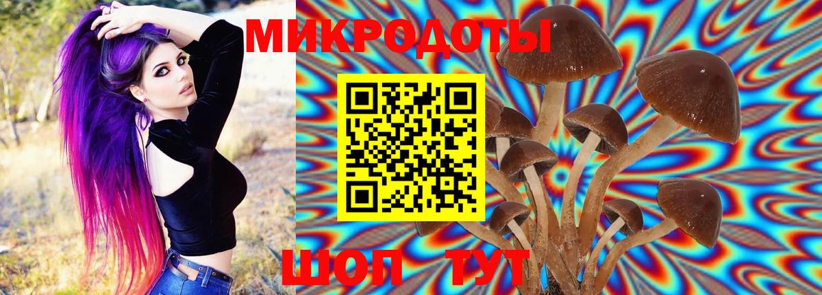 Псилоцибиновые грибы мухоморы Новоуральск